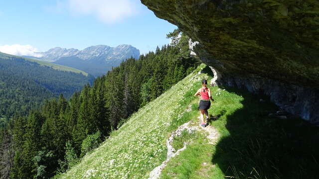 Découverte du skyrunning en Chartreuse