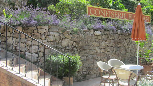 Jardin aux agrumes et aux fleurs