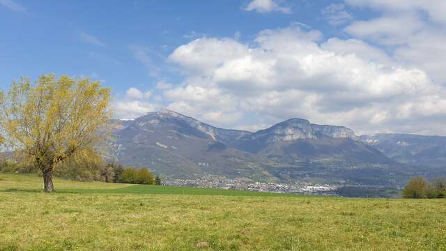 La croix de la Coche depuis Chambéry