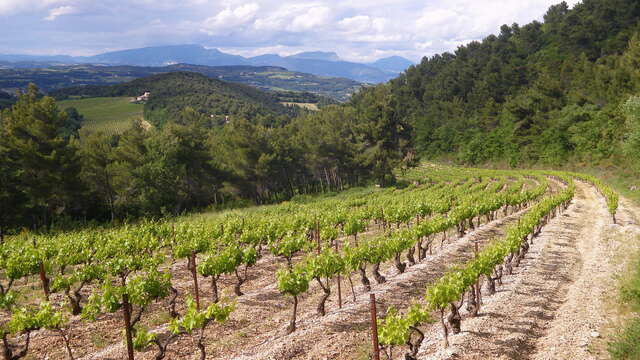 Domaine des Roches Fortes