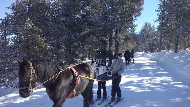 Ski-Joëring avec Angaka