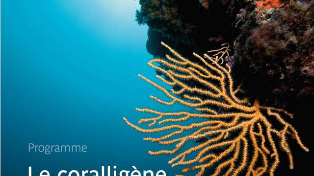 Conférences et table ronde : «Coralligène, qui es-tu ?»