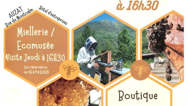 A guided tour of the world of bees!