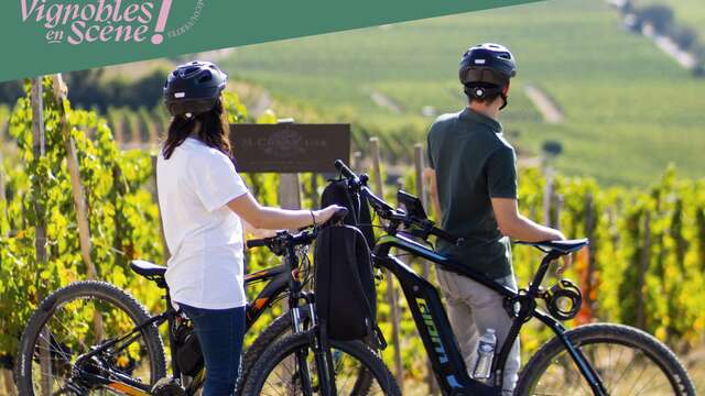 Balade en vélo à assistance éléctrique - Maison M. CHAPOUTIER