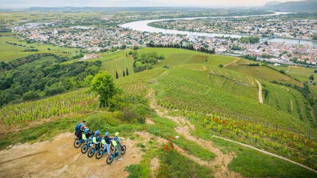Balade en trottinette électrique tout terrain avec expert vin + Dégustation - Terres de Syrah
