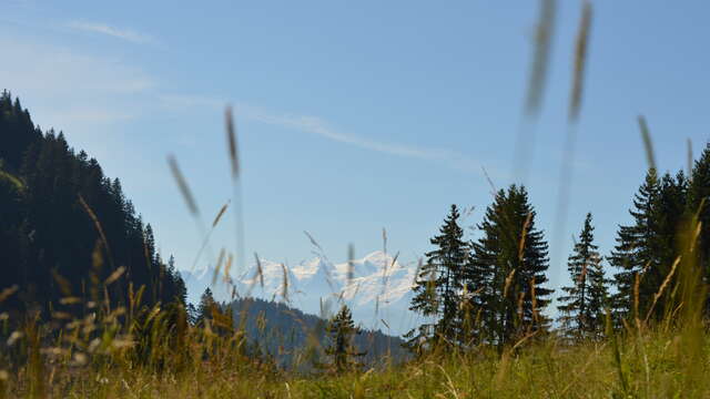 Rando'bus CHALUNE-CHAVASSE - Depuis le Praz de Lys