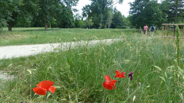 Parc de l'Ile des Impressionnistes
