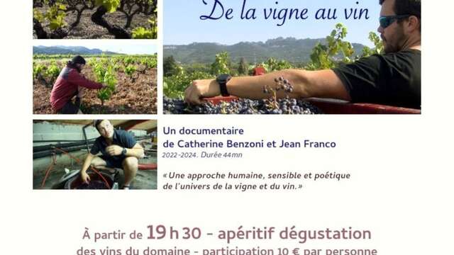 Open-air film screening - Domaine Les Sibu