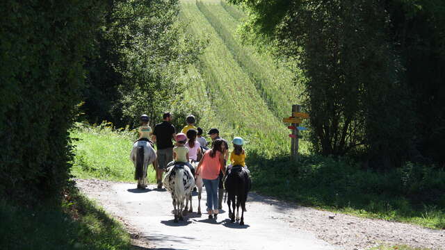 Pour mon anniversaire : tout le monde à poney à Crossey !