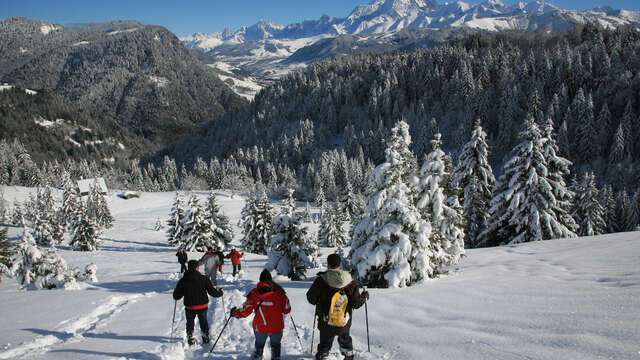 Sortie encadrée en raquettes avec Mountain Access