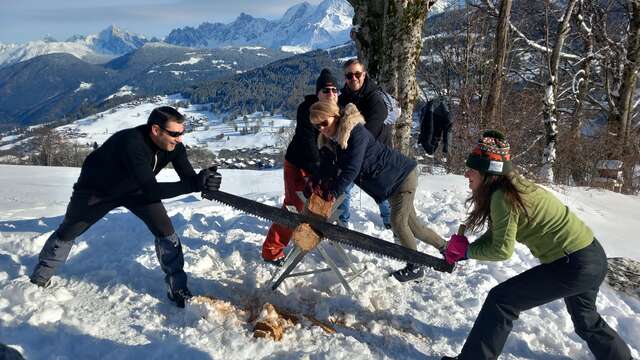 Olimpiadi delle nevi