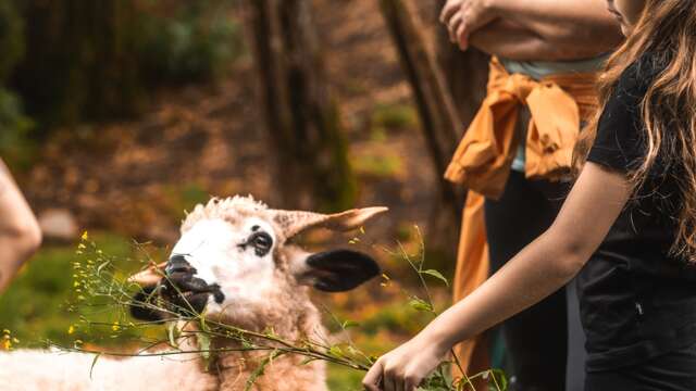Special 9th anniversary day at Ferme du Haut-Chablais