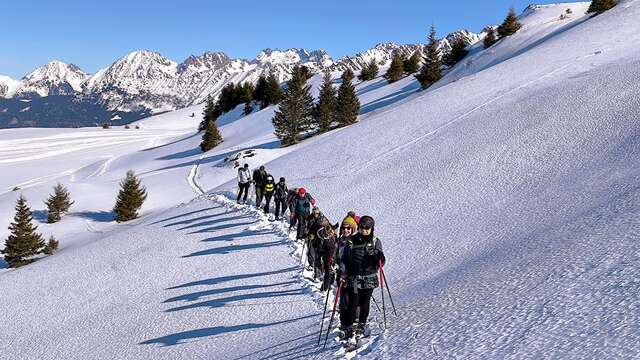 Snowshoe hike - Get away from it all and climb to new heights