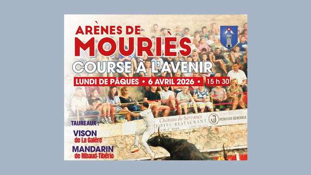 Camargue Stierrennen: "Avenir" Rennen