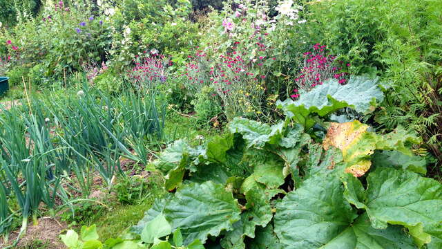 Un Jardin au Paradis