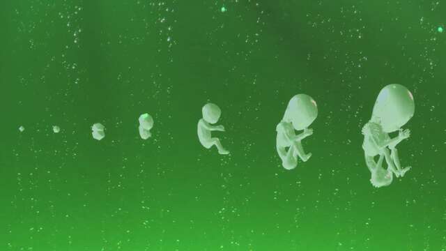 Créatures de substitution