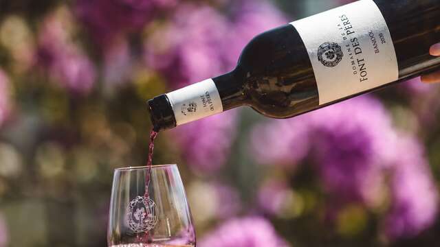 Entre vignes et planches - Domaine La Font des Pères