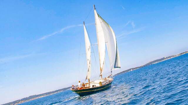 Sailing boat rental with Skipper - Cigno Nero