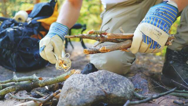 Bush'craft, learn to manage in the wild