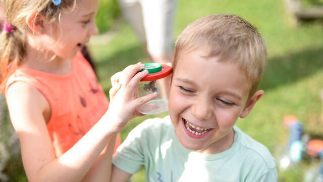 Birthday party in the great outdoors: Butterfly hunt