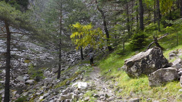 Trail n°14 - Tour de Tête Grosse depuis le col du Fanget