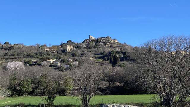 Ruines du château seigneurial de Vernègues