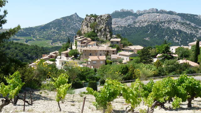 26 - Zwischen Mont Ventoux und Dentelles de Montmirail