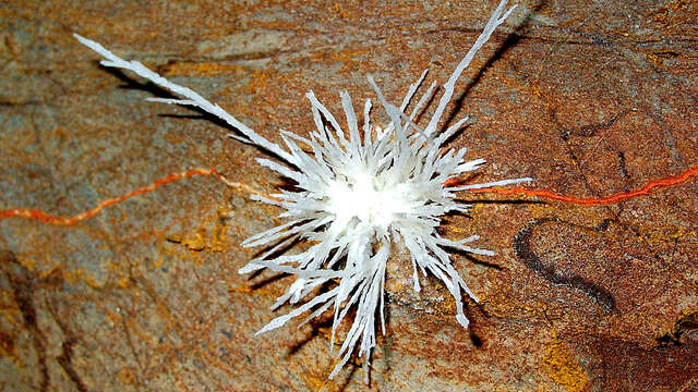 Grotte de Fontrabiouse : Patrimoine géologique