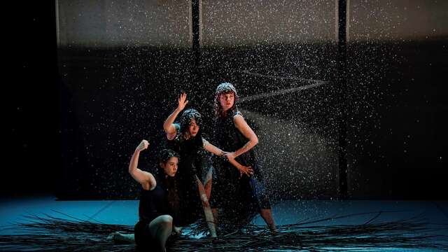 Junges Publikum - Tanz/Konzert "Ronces" ("Brummen")