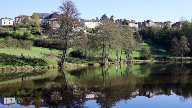 Itinéraire VTT : circuit 20 bleu, base Belmont-de-la-Loire