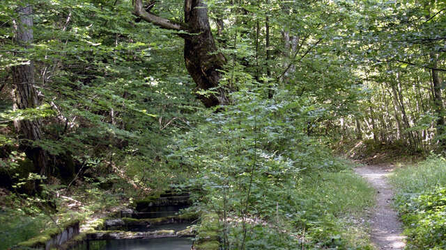 Canal des Herbeys