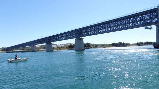 Tuesday meetings, conferences