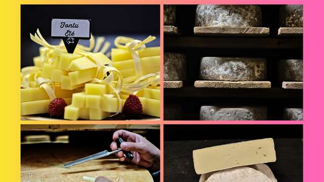 Visites et dégustation à la fromagerie de la Durance