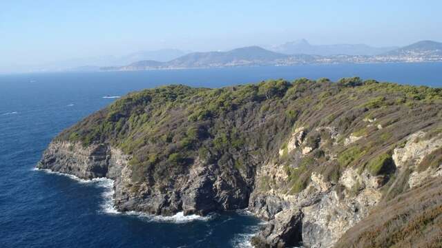 A la découverte de la flore du littoral