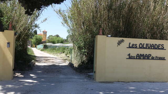 La Ferme des Olivades