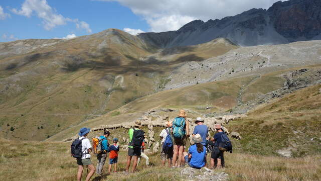 Sortie Parc - Etre berger aujourd'hui - alpage de l'Alpet