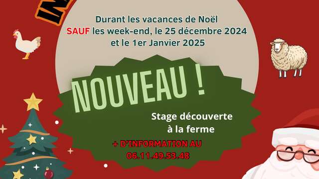 Stage de Noël à la ferme Lou Craven