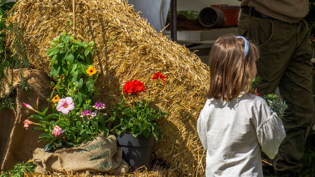 Folie(s) Végétales 2026 - Découverte de la laine, du cardage & du feutrage