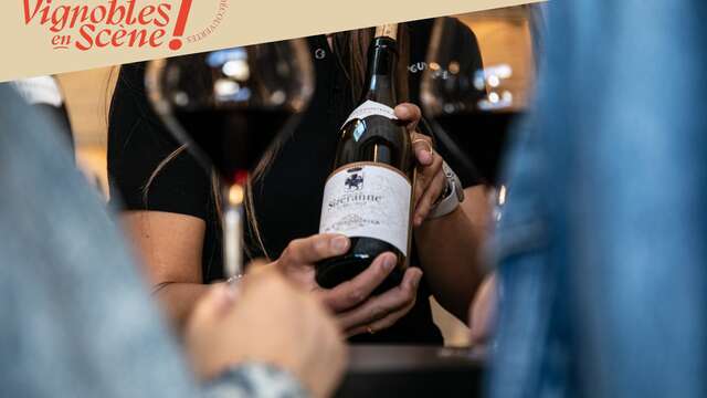 Visite de nos vignes et dégustation en accords mets et vins - Maison M. CHAPOUTIER