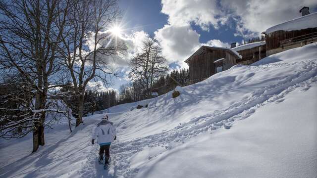 Begeleide sneeuwschoenwandelingen: Winteravontuur voor iedereen