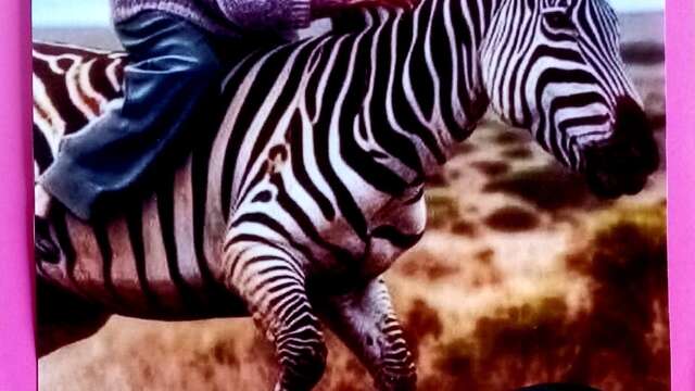 Writing workshop at Le Zèbre