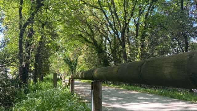 Piste cyclable : La Croix Valmer - Cavalaire