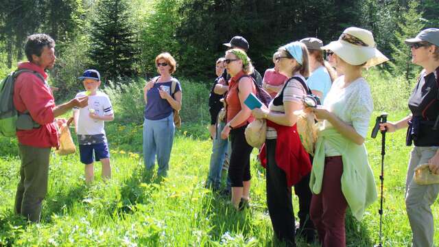 Sortie découverte des plantes de montagne
