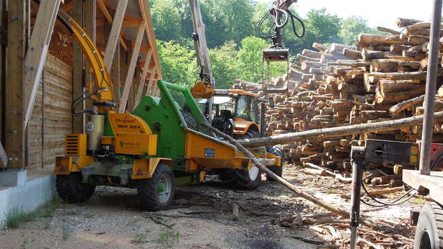 D'où vient le bois-énergie ? Visites en forêt