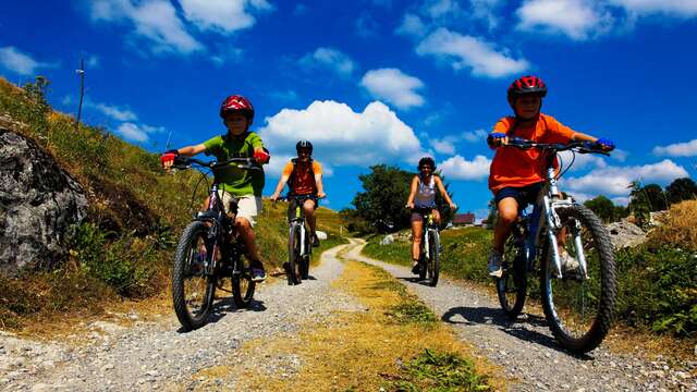 Location de VTT - Foyer des Moises