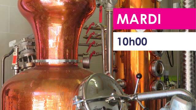 Bezoek aan de distilleerderij Dent d'Oche