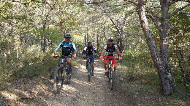 Site VTT FFC - Provence Verdon - Circuit 40 - Bleu - Régusse