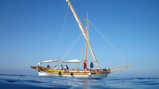 Observation en voilier - Découverte des cétacés de Méditerranée