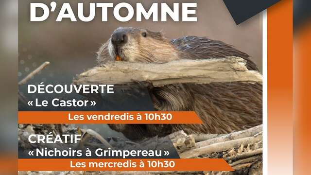 Autumn workshops at the Naturoptère