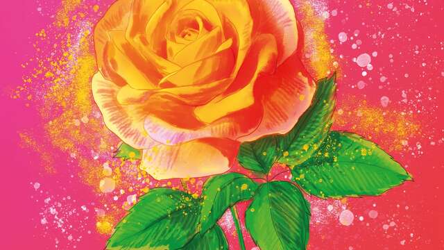 23ème Fête des roses